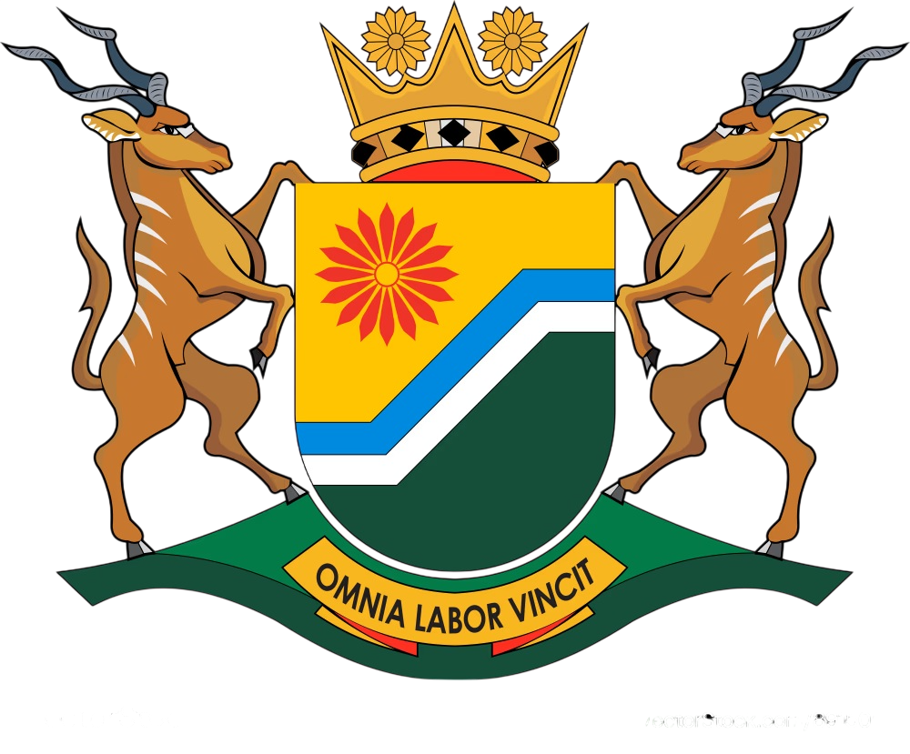 City of Ekurhuleni Metropolitan Municipality logo