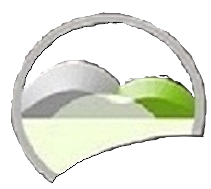 Ndalo Security Solutions logo
